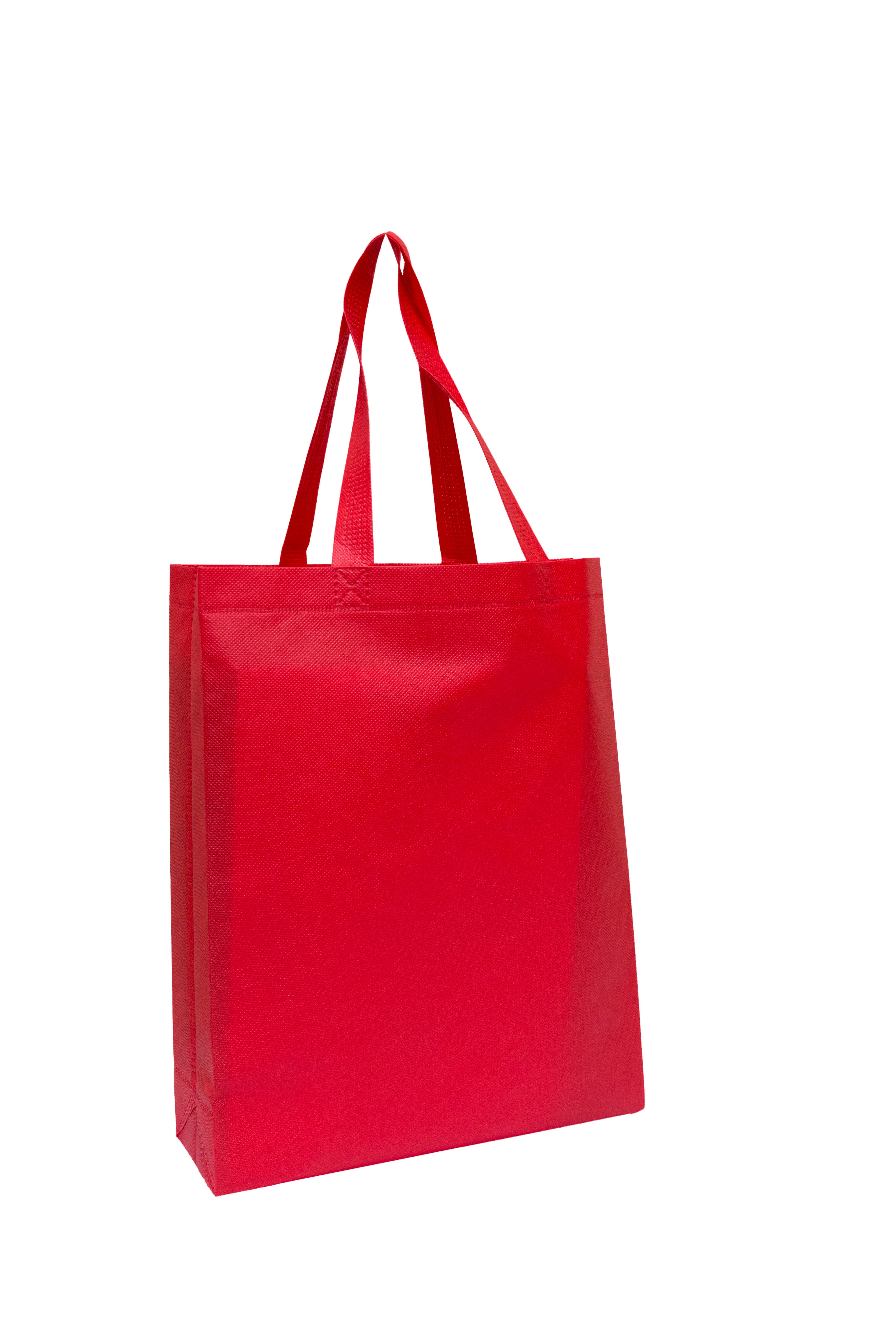 NON WOVEN BAG - JS21