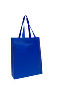 NON WOVEN BAG - JS21